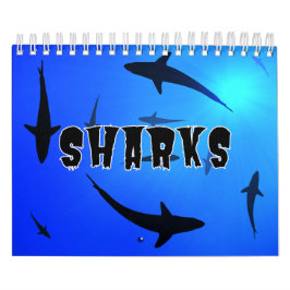Sharksammlung Showcase Wall Kalender