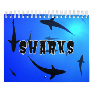Sharksammlung Showcase Wall Kalender
