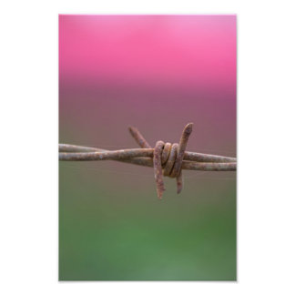 Sharp Colors. Fotodruck