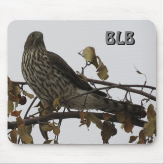 Sharp Shinned Hawk in Tree Your Initials Mousepad