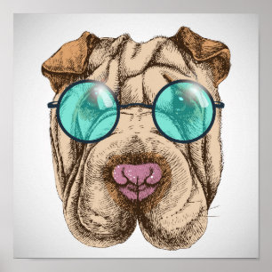 Sharpei in der Sonnenbrille Poster