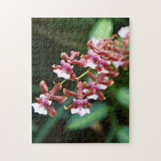 Sharry Baby Oncidium 10x14 Foto-Puzzlespiel