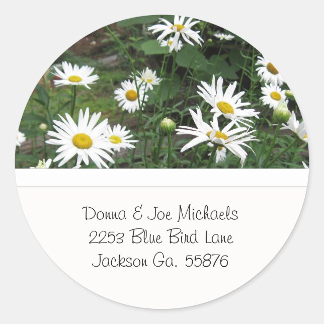 Shasta Daisies Address Stickers (Vorderseite)