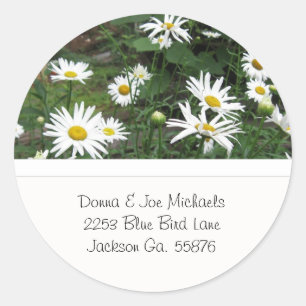 Shasta Daisies Adresse Stickers