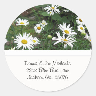 Shasta Daisies Adresse Stickers