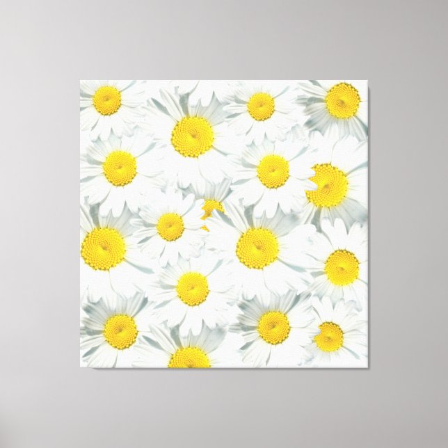 Shasta Daisies Leinwanddruck (Vorderseite)