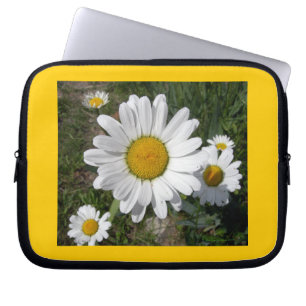 Shasta Daisy (höchstens Chrysanthemum) Laptopschutzhülle
