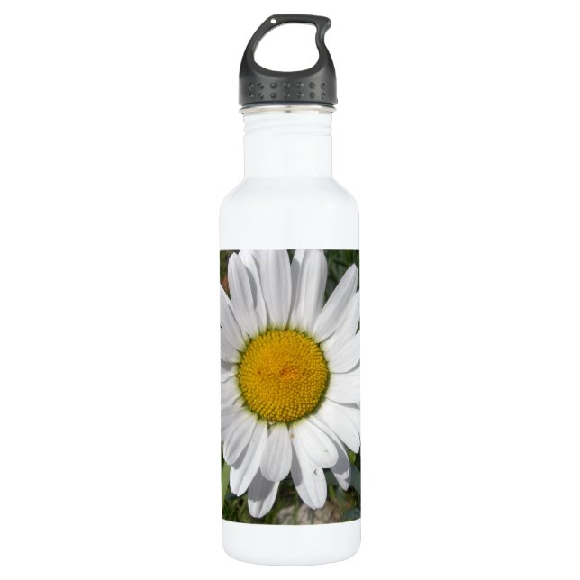 Shasta Daisy (höchstens Chrysanthemum) Trinkflasche (Vorderseite)