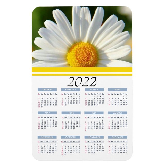 Shasta Daisy | Magnet Calendrier floral 2022 (Vertical)