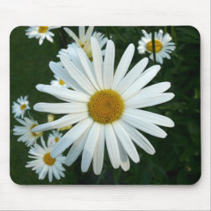 Shasta Daisy Mousepad