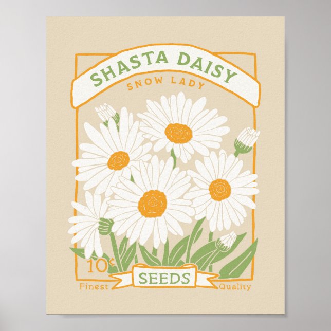 Shasta Daisy Poster (Vorne)