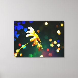 Shasta Daisy Sparkle Wrapped Canvas Leinwanddruck