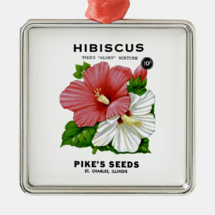 Shasta Daisy Vintag Seed Packung Silbernes Ornament