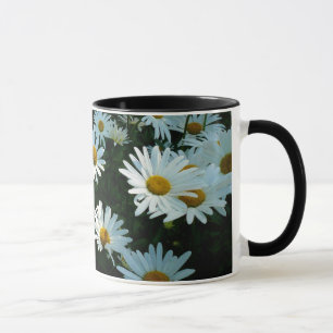 Shasta Gänseblümchen II Tasse