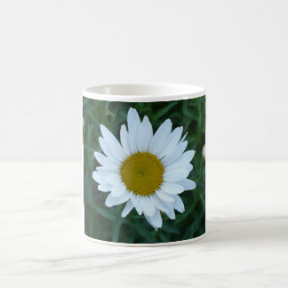 Shasta Gänseblümchen Kaffeetasse