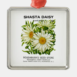 Shasta Gänseblümchen-Vintages Samen-Paket Ornament Aus Metall