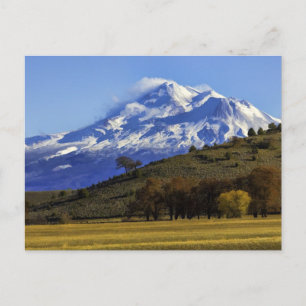 SHASTA VIEW POSTKARTE