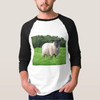 Sheal grundlegender 3/4 HülseRaglan T-Shirt