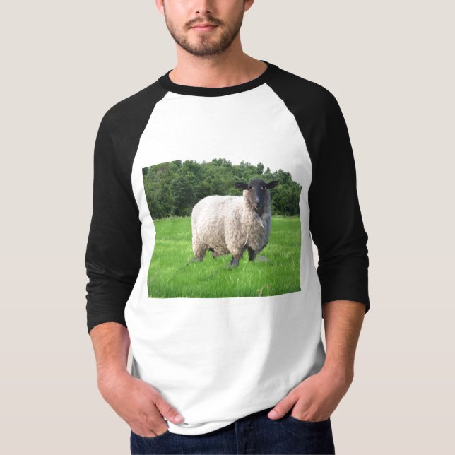 Sheal grundlegender 3/4 HülseRaglan T-Shirt (Vorderseite)
