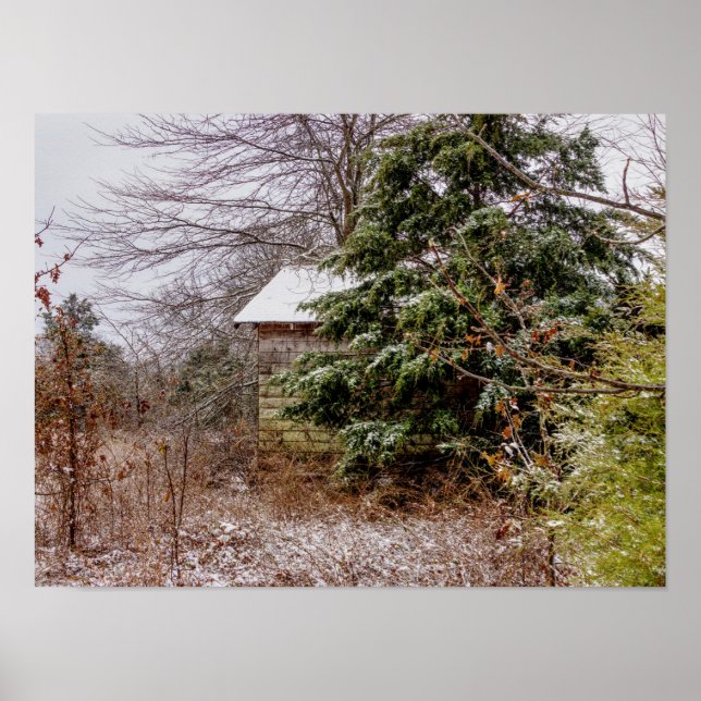 Shed Abandoned Poster (Vorne)