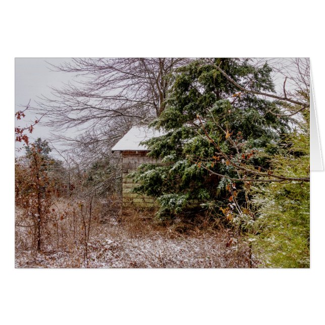 Shed-Grußkarte (Vorderseite (Horizontal))