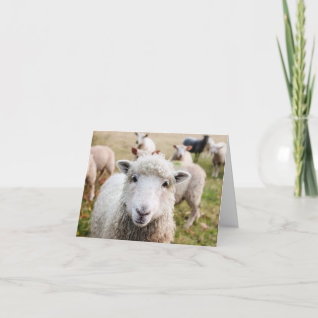 Sheep Custom Dankeschön Karte (Vorderseite)