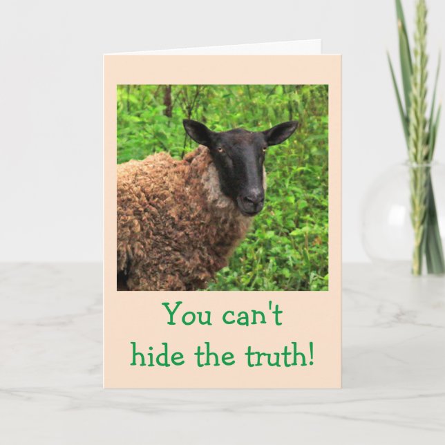 Sheep Flattery Birthday Karte (Vorderseite)