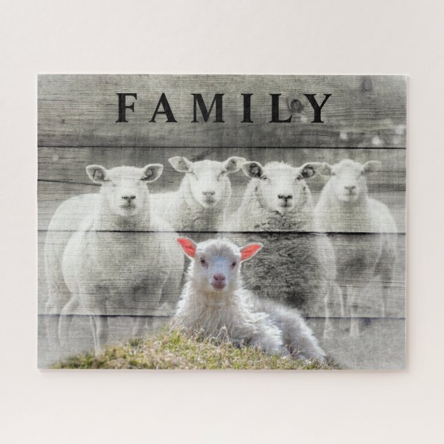 Sheep Flock Baby Lamb (Horizontal)