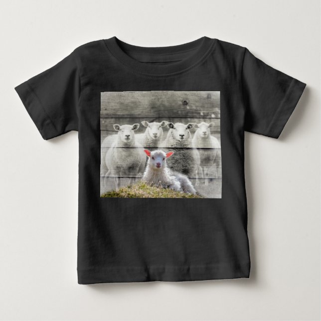 Sheep Flock Baby Lamb Baby T-shirt (Vorderseite)