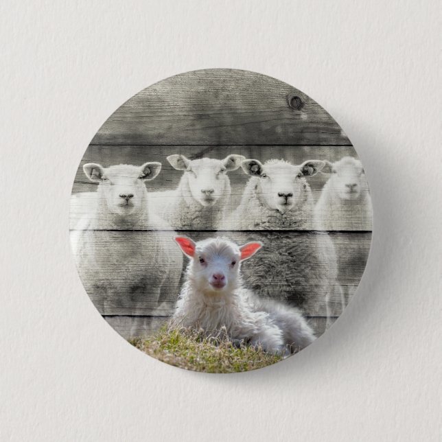 Sheep Flock Baby Lamb Button (Vorderseite)