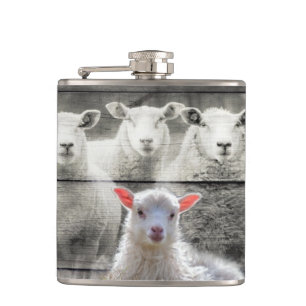 Sheep Flock Baby Lamb Flachmann