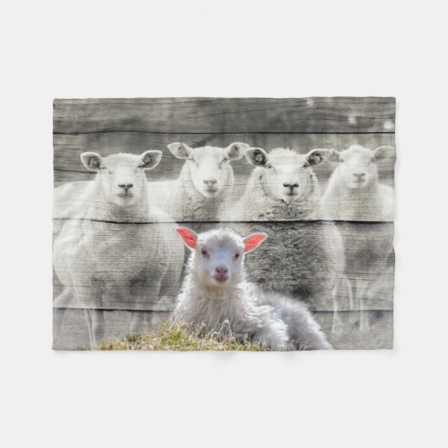 Sheep Flock Baby Lamb Fleecedecke (Vorderseite (Horizontal))