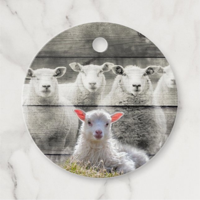 Sheep Flock Baby Lamb Geschenkanhänger (Vorderseite)