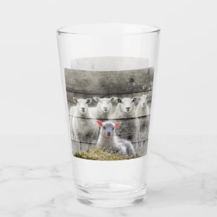 Sheep Flock Baby Lamb Glas