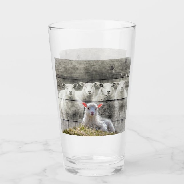 Sheep Flock Baby Lamb Glas (Vorderseite)