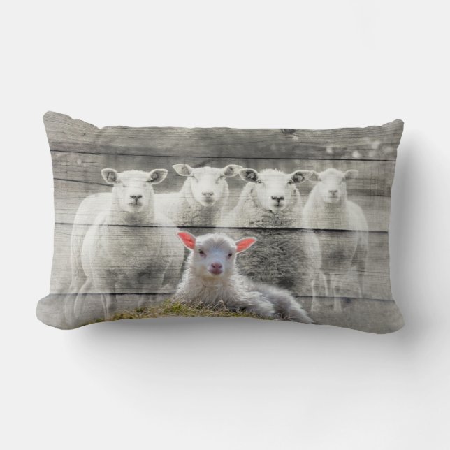 Sheep Flock Baby Lamb Lendenkissen (Vorderseite)