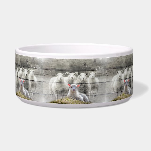 Sheep Flock Baby Lamb Napf (Vorderseite)
