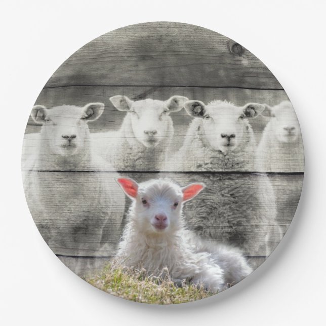 Sheep Flock Baby Lamb Pappteller (Vorderseite)