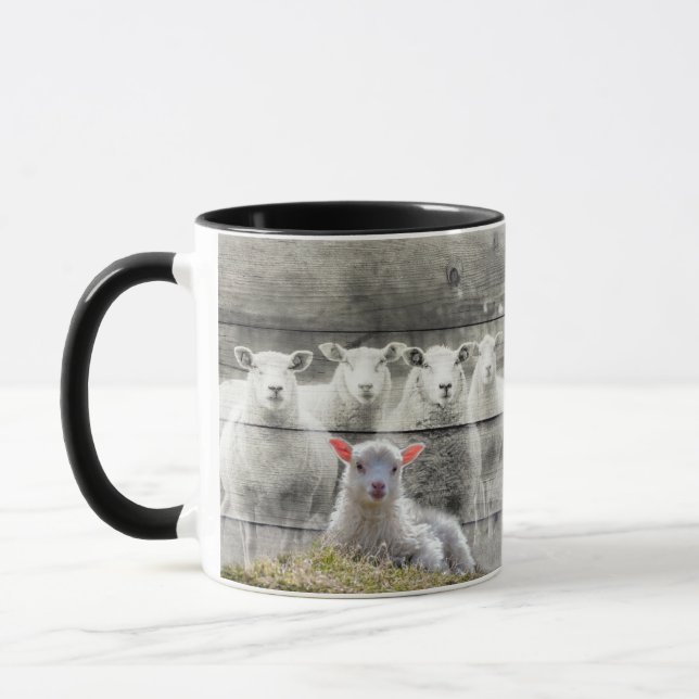 Sheep Flock Baby Lamb Tasse (Links)