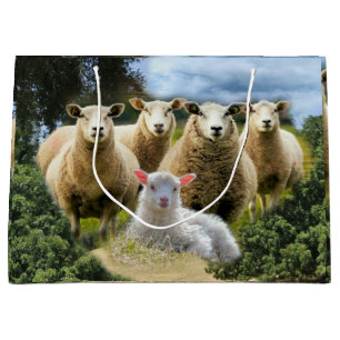 Sheep Flock Sheep Herd Baby Lamb Große Geschenktüte
