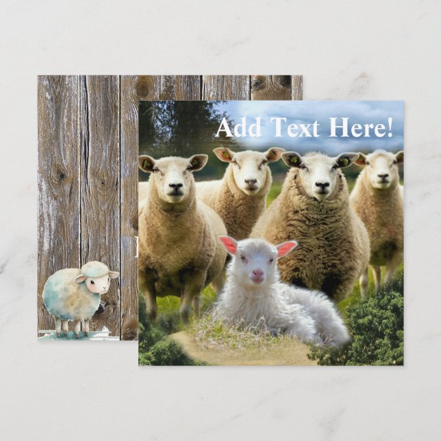 Sheep Flock Sheep Herd Baby Lamb Karte (Vorne/Hinten)