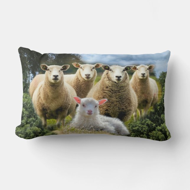 Sheep Flock Sheep Herd Baby Lamb Lendenkissen (Vorderseite)