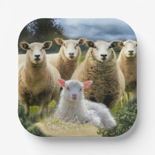 Sheep Flock Sheep Herd Baby Lamb Pappteller