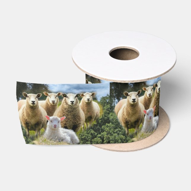 Sheep Flock Sheep Herd Baby Lamb Satinband (Spule)