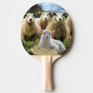 Sheep Flock Sheep Herd Baby Lamb Tischtennis Schläger
