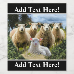 Sheep Flock Sheep Herd Baby Lamb Weinetikett