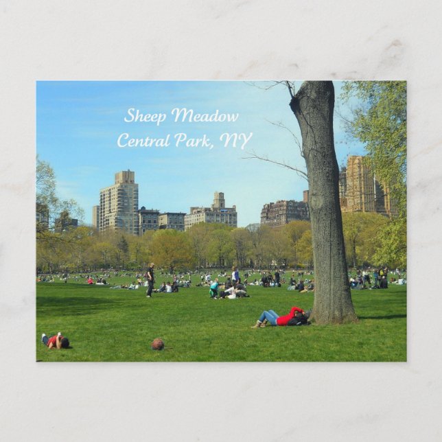 Sheep Meadow, Central Park Postkarte (Vorderseite)
