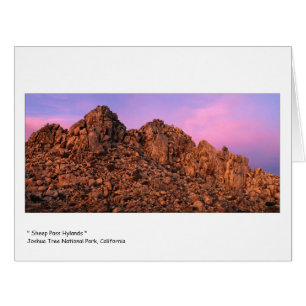 " Sheep Pass Hylands "