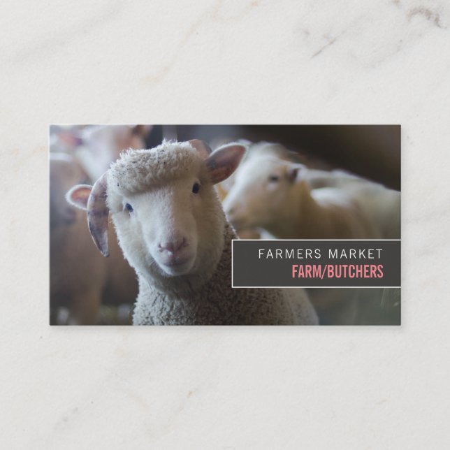 Sheep Portrait, Bauer & Butcher Visitenkarte (Vorderseite)
