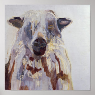 Sheep Poster